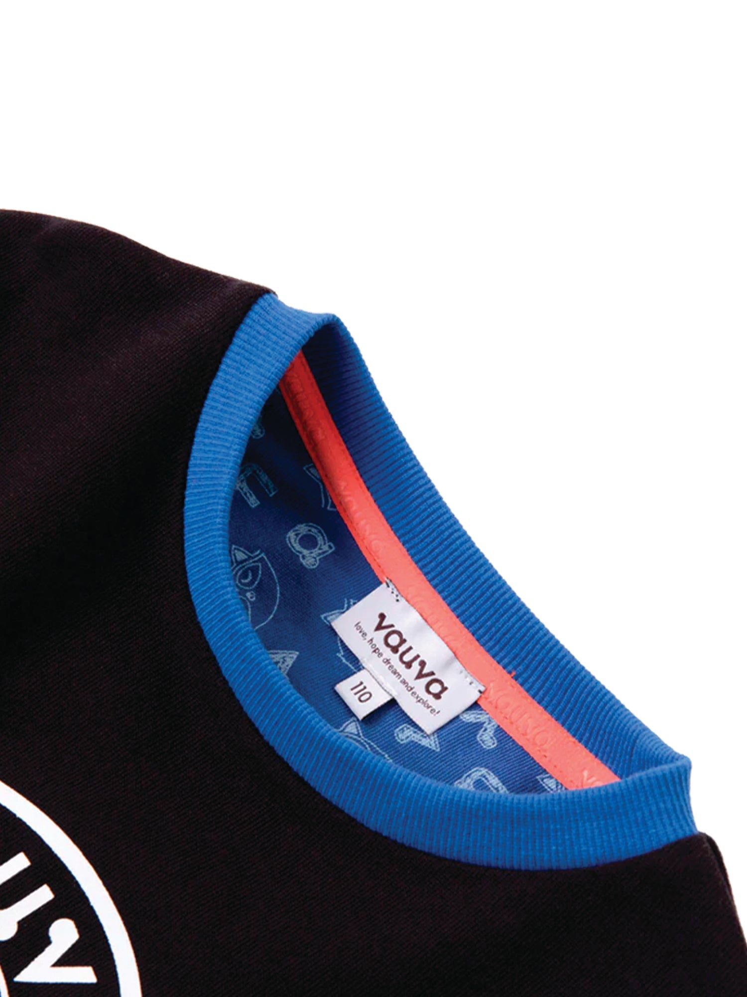 Boys Raccoon Marvelous Sweatshirt