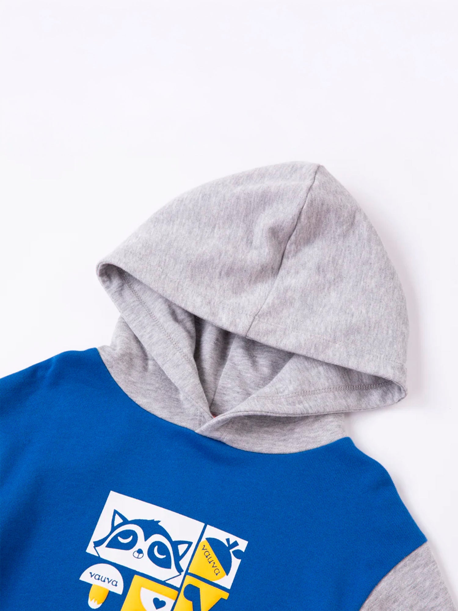 Boys Raccoon Love Eat Hoodie