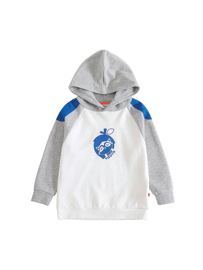 Boys Raccoon Love Nuts Hoodie