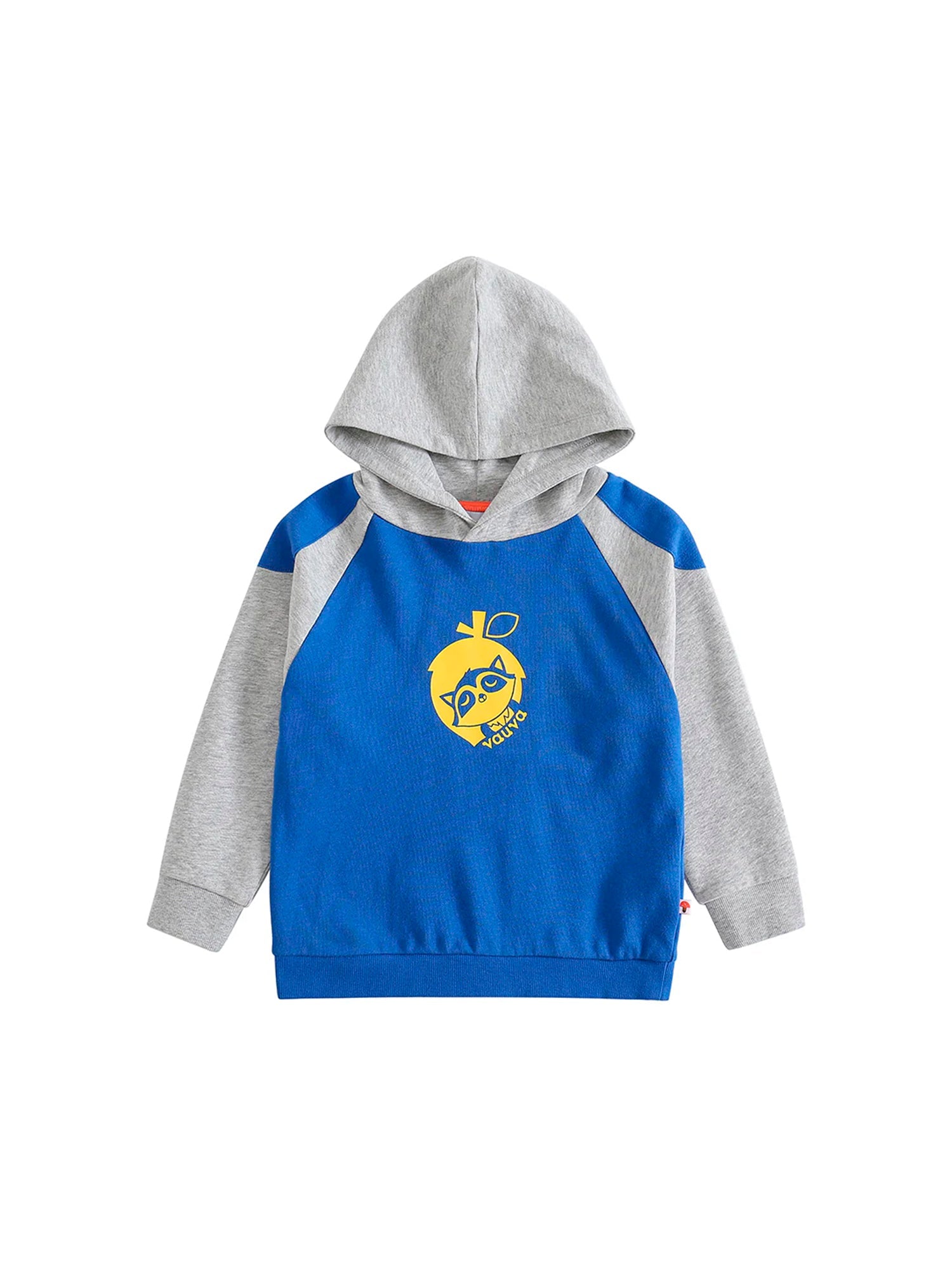 Boys Raccoon Love Nuts Hoodie