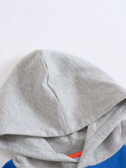 Boys Raccoon Love Nuts Hoodie