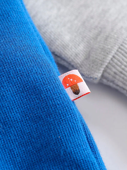 Boys Raccoon Love Nuts Hoodie