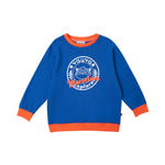 Boys Raccoon Marvelous Sweatshirt